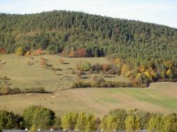 Blick über den Altenbergaer Grund